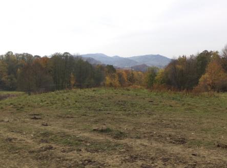 Prodej pozemku, trvalý travní porost, 6 670 m²