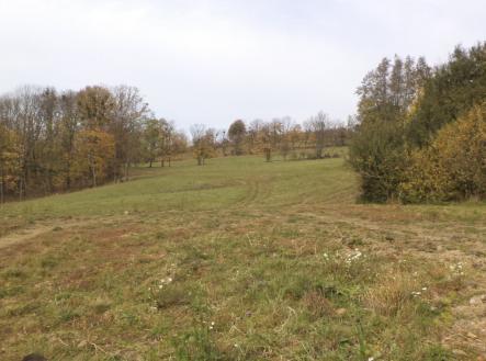 Prodej pozemku, trvalý travní porost, 6 670 m²