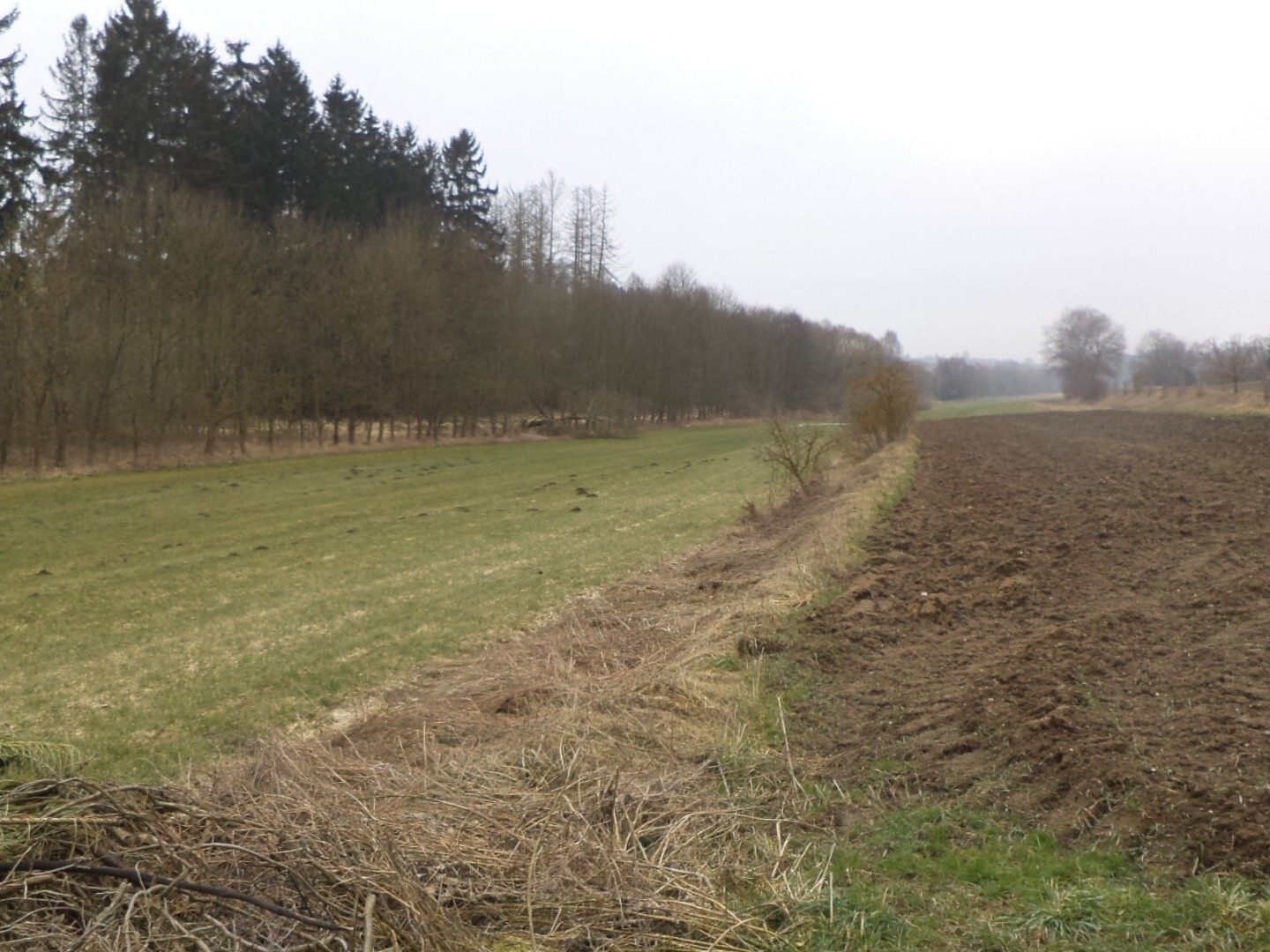 Pozemek o velikosti 705m2, Dalkovice