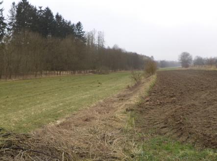 Prodej pozemku, trvalý travní porost, 705 m²