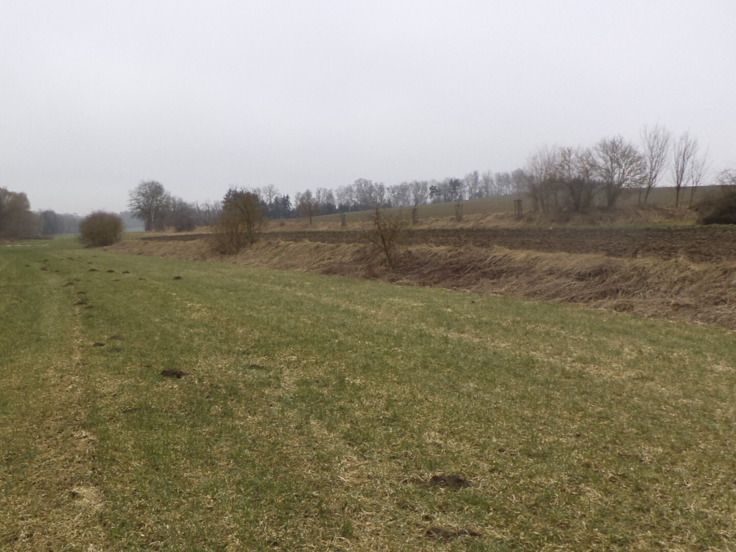 Pozemek o velikosti 705m2, Dalkovice