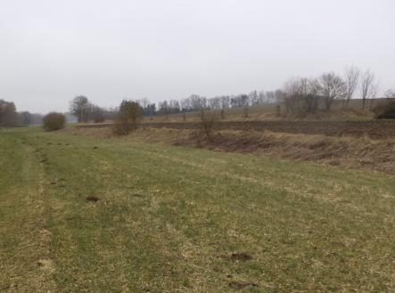 Prodej pozemku, trvalý travní porost, 705 m²