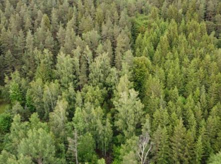 Prodej pozemku, trvalý travní porost, 1 970 m²