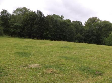 Prodej pozemku, trvalý travní porost, 1 566 m²