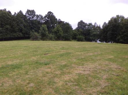 Prodej pozemku, trvalý travní porost, 1 566 m²