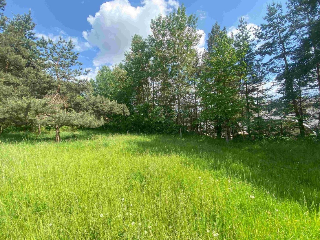 Pozemek o velikosti 2300m2,  Býkov