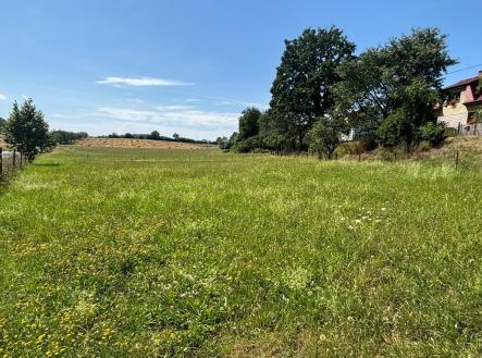 Prodej pozemku, trvalý travní porost, 951 m²