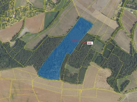 Prodej pozemku, les, 81 658 m²