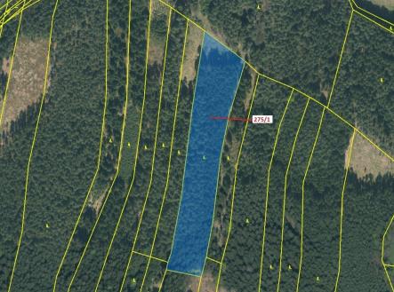 Prodej pozemku, les, 15 717 m²