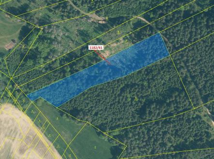 Prodej pozemku, les, 11 119 m²