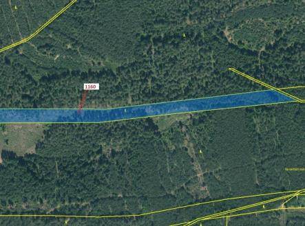 Prodej pozemku, les, 12 984 m²