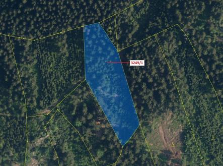 Prodej pozemku, les, 5 995 m²