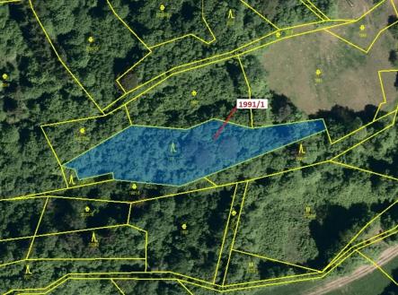 Prodej pozemku, les, 2 438 m²