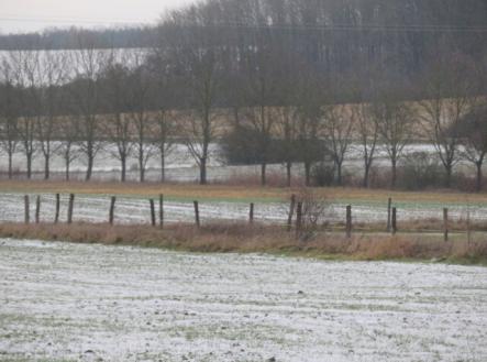 Prodej pozemku, trvalý travní porost, 11 382 m²