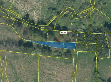 Prodej pozemku, les, 1 011 m²