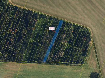 Prodej pozemku, les, 1 134 m²