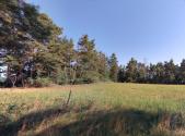 Prodej pozemku, trvalý travní porost, 1 236 m²