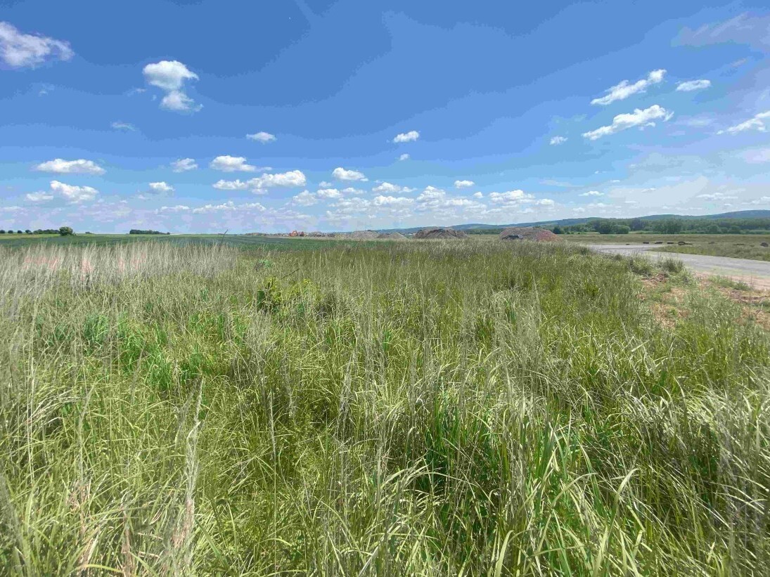 Pozemek o velikosti 2873m2, Kravaře ve Slezku