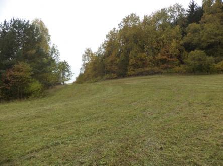 Prodej pozemku pro bydlení, 4 068 m²