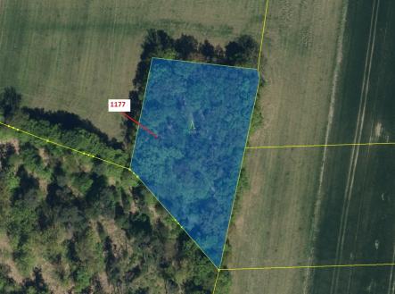 Prodej pozemku, les, 4 658 m²