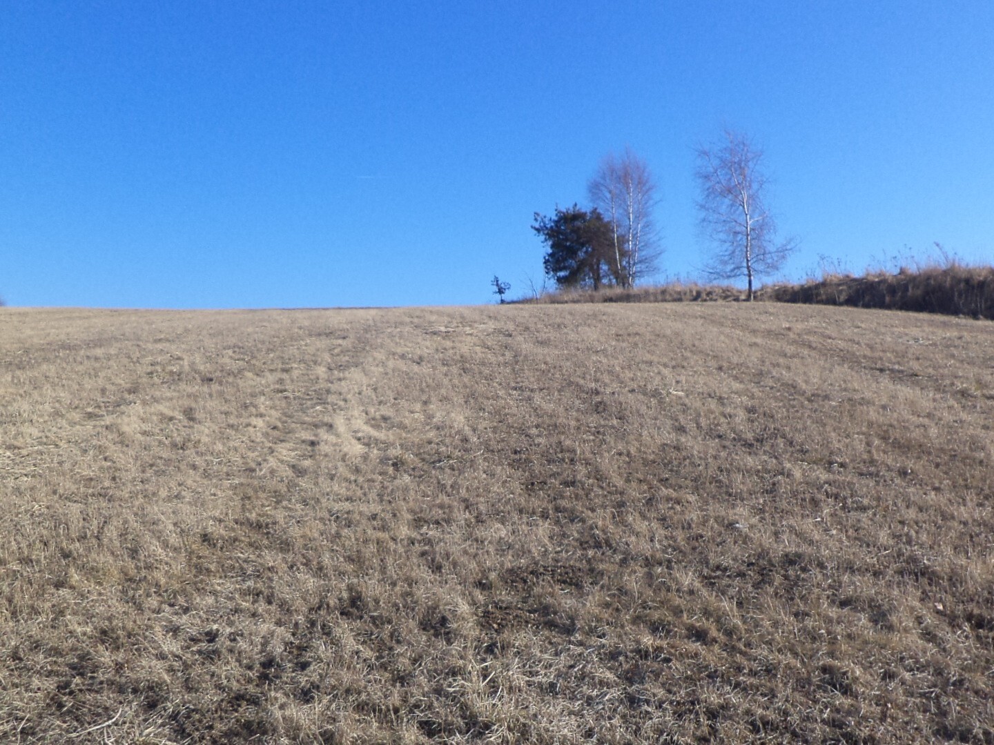 Pozemek o velikosti 5258m2, Kunžak