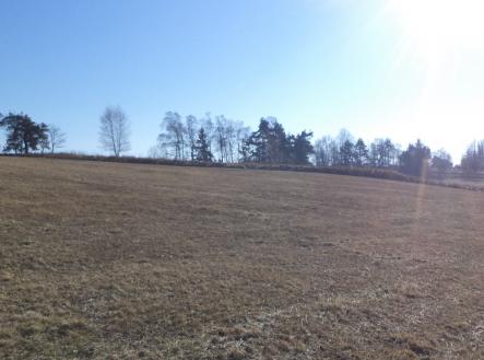 Prodej pozemku, trvalý travní porost, 5 258 m²