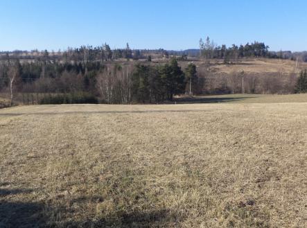 Prodej pozemku, trvalý travní porost, 5 258 m²