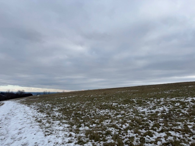 Dražba spoluvlastnického podílu ve výši 1/6 na pozemku v Litoměřicích