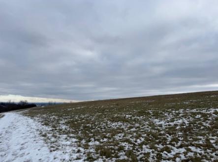 Prodej pozemku, zemědělská půda, 8 107 m²