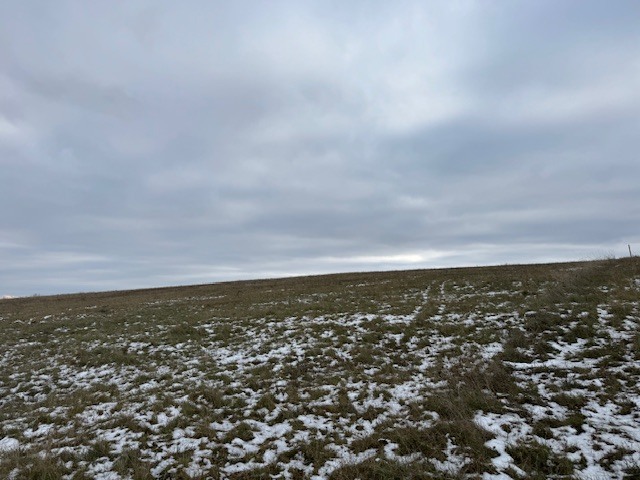 Dražba spoluvlastnického podílu ve výši 1/6 na pozemku v Litoměřicích