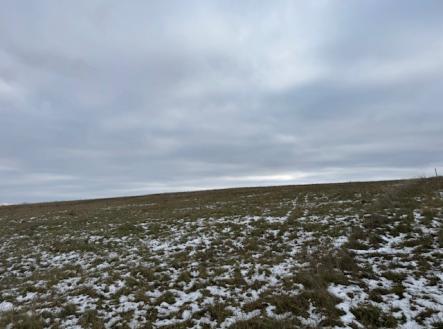 Prodej pozemku, zemědělská půda, 8 107 m²