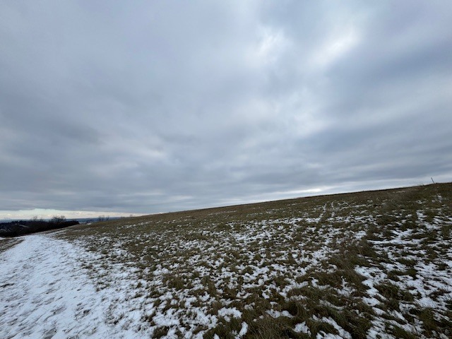 Dražba spoluvlastnického podílu ve výši 1/6 na pozemku v Litoměřicích
