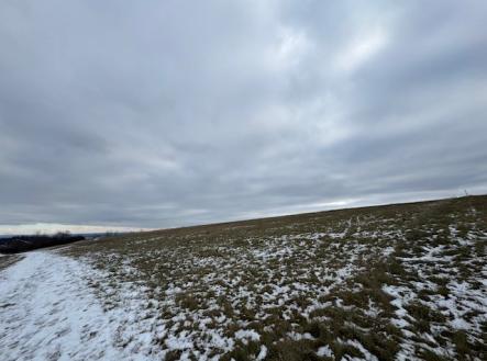 Prodej pozemku, zemědělská půda, 8 107 m²