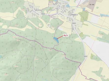 Prodej pozemku, les, 3 251 m²