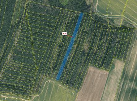 Prodej pozemku, les, 5 196 m²