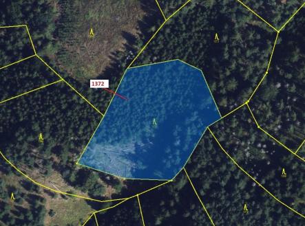 Prodej pozemku, les, 5 978 m²