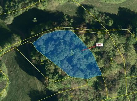 Prodej pozemku, les, 2 428 m²