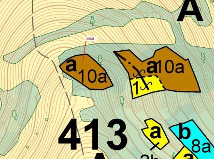 Prodej pozemku, les, 2 428 m²