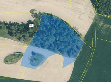 Prodej pozemku, les, 4 801 m²