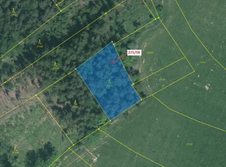 Prodej pozemku, les, 2 102 m²