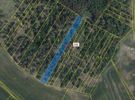 Prodej pozemku, les, 2 665 m²