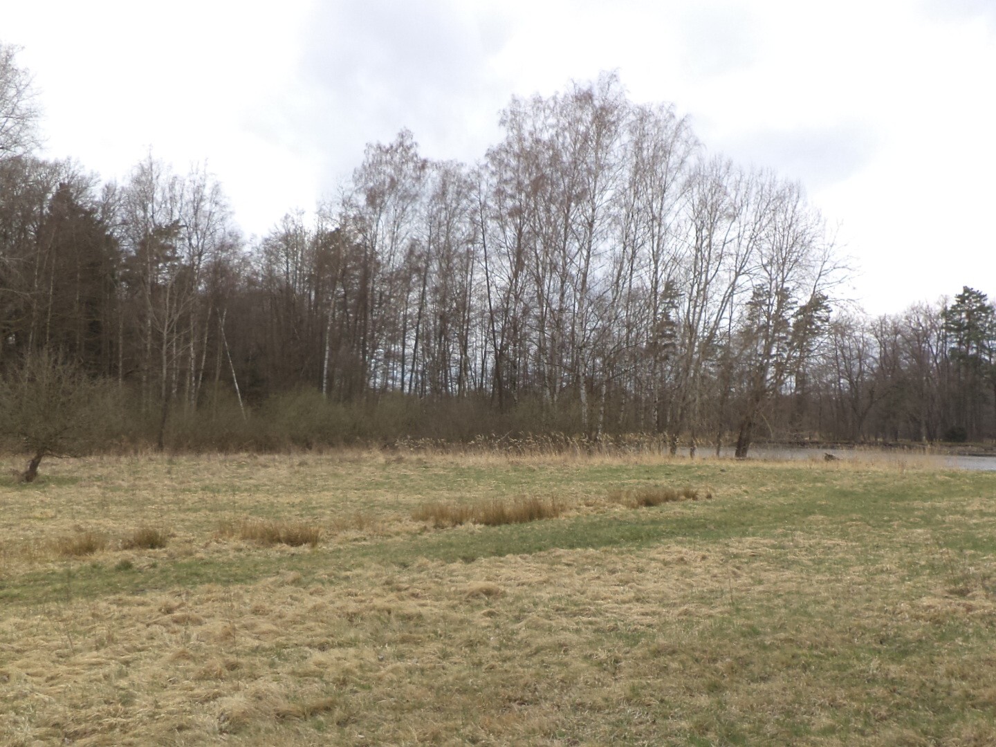 Pozemek o velikosti 6727m2, Lutová