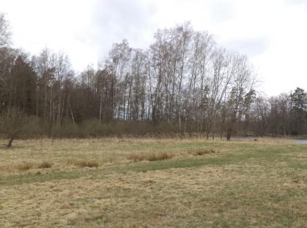 Prodej pozemku, trvalý travní porost, 6 727 m²