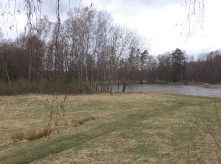 Prodej pozemku, trvalý travní porost, 6 727 m²