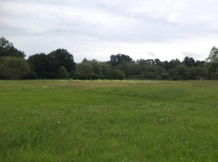 Prodej pozemku, trvalý travní porost, 5 581 m²