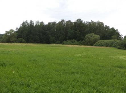 Prodej pozemku, trvalý travní porost, 5 581 m²