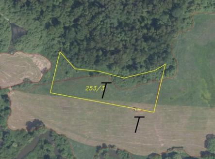 Prodej pozemku, trvalý travní porost, 5 581 m²