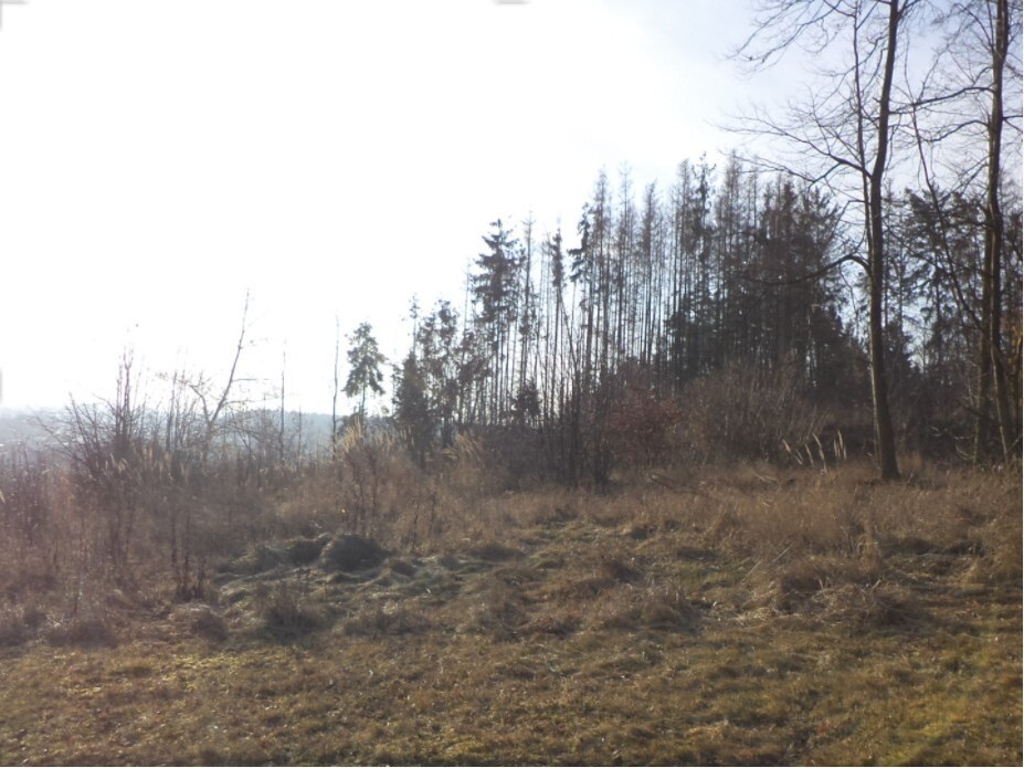 Pozemek o velikosti 1007m2, Čelkovice