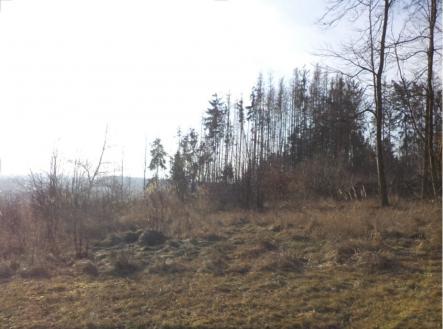 Prodej pozemku, trvalý travní porost, 1 007 m²