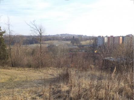 Prodej pozemku, trvalý travní porost, 1 007 m²